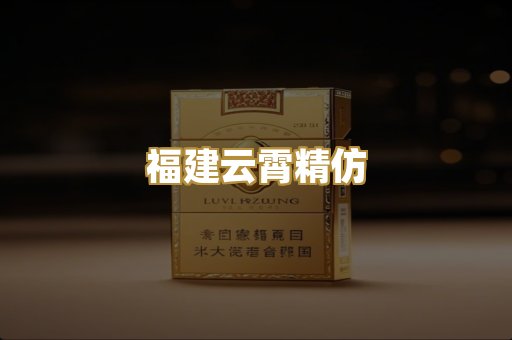 福建云霄精仿