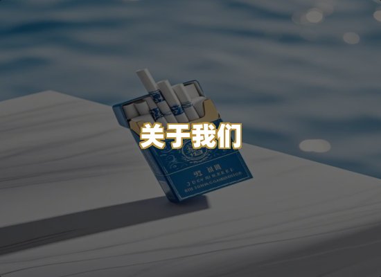 关于我们